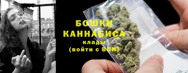 твердый Новосибирск