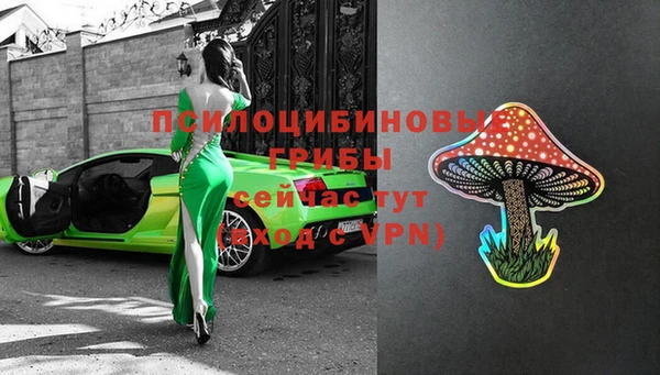твердый Новосибирск