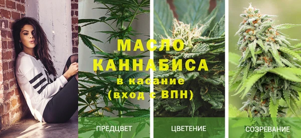 твердый Новосибирск
