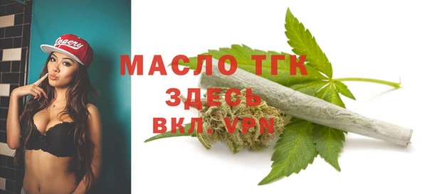 твердый Новосибирск