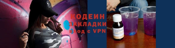 дживик Ессентукская