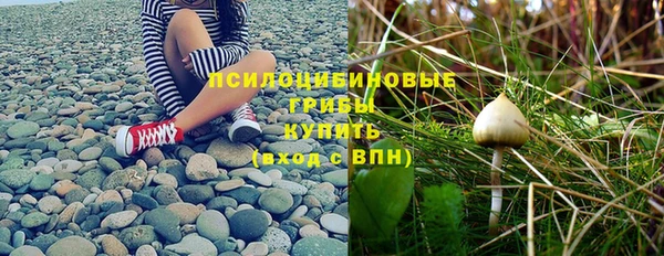 герыч Санкт-Петербург