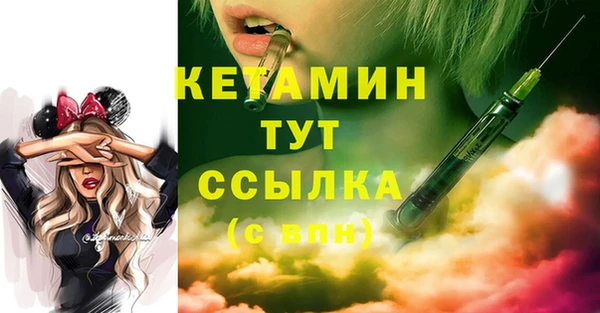 твердый Новосибирск