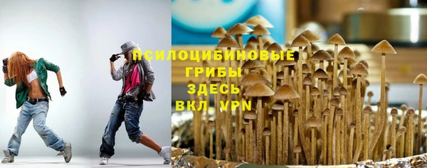 герыч Санкт-Петербург