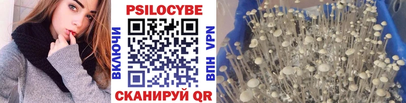 Галлюциногенные грибы Magic Shrooms Ярославль