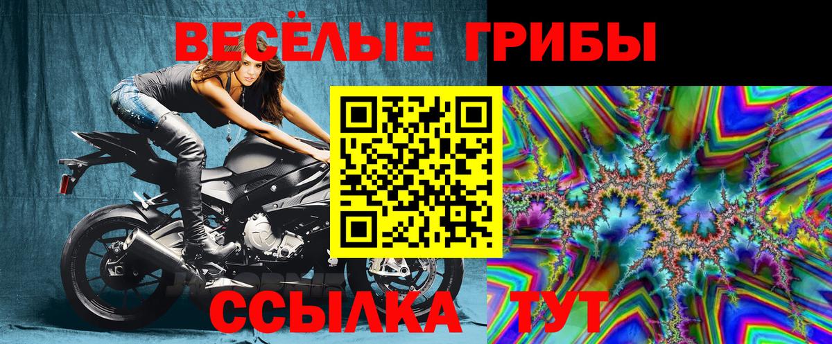 Псилоцибиновые грибы Magic Shrooms Россия