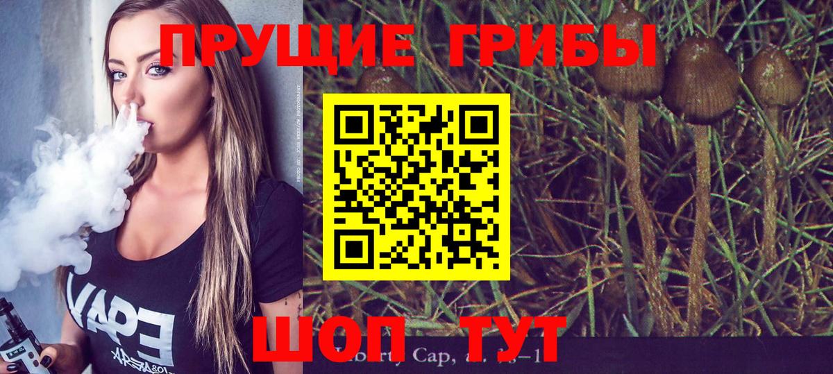 Галлюциногенные грибы Psilocybe  Вход с VPN  Галлюциногенные грибы Magic Shrooms  наркота  Россия 