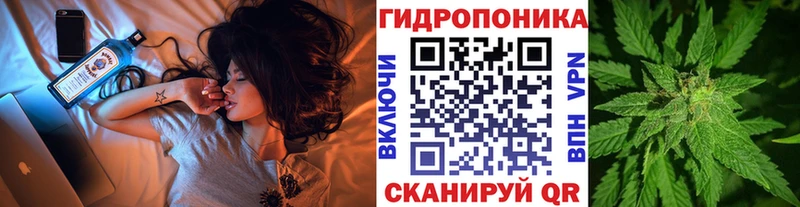 гидра зеркало  Ярославль  Марихуана White Widow 