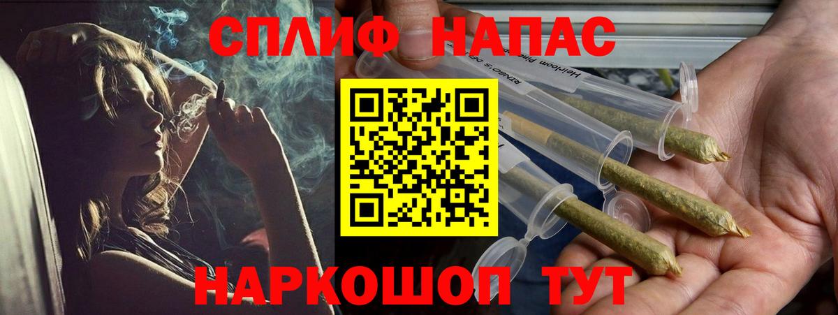 Каннабис SATIVA & INDICA  Вход с VPN  Россия  Каннабис SATIVA & INDICA 